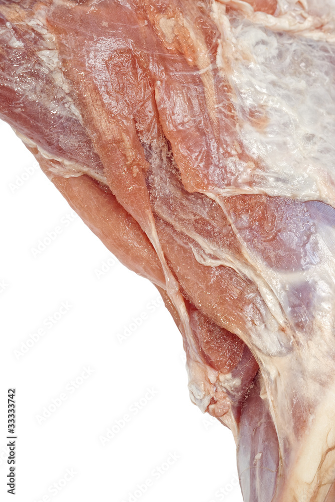 Closeup of defrosted raw lamb meat with copy space