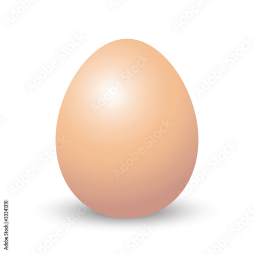 isolated brown egg