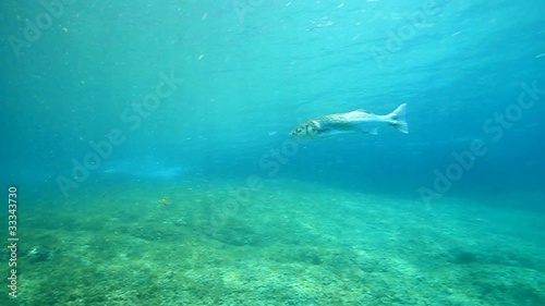 Wallpaper Mural immersioni liguria Torontodigital.ca