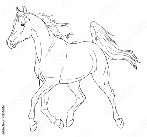 Fototapeta Naklejka Na Ścianę i Meble -  Arabian horse vector illustration