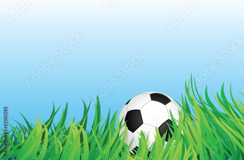 soccer ball on grass field