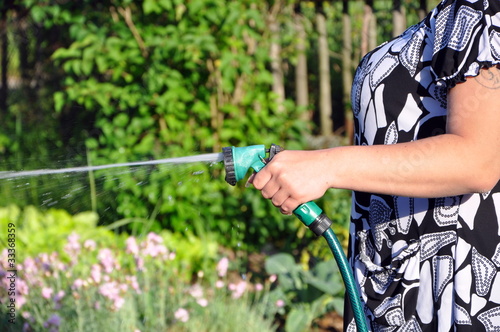 watering the plants with garden hose photo