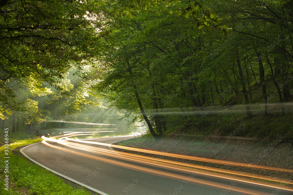 Long exposure on the road in forest in the morning Long exposure on the road in forest in the morning