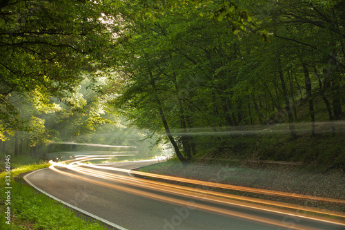 Long exposure on the road in forest in the morning