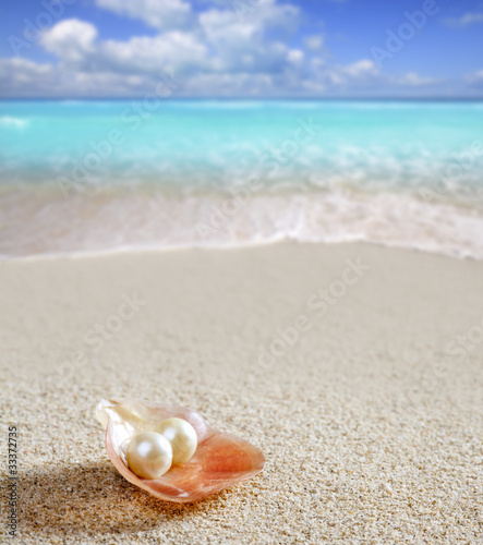 Caribbean pearl on shell white sand beach tropical