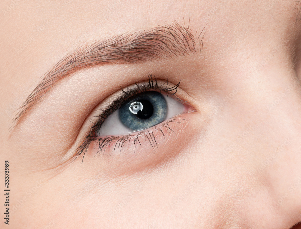 Fototapeta premium Cosmetic paint brush - close-up portrait of eye shadow zone