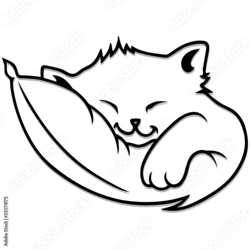 Gatto Cartoon Dorme su Cuscino-Sleeping Kitty-Vector