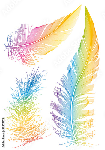 Obraz na plátně colorful vector feather