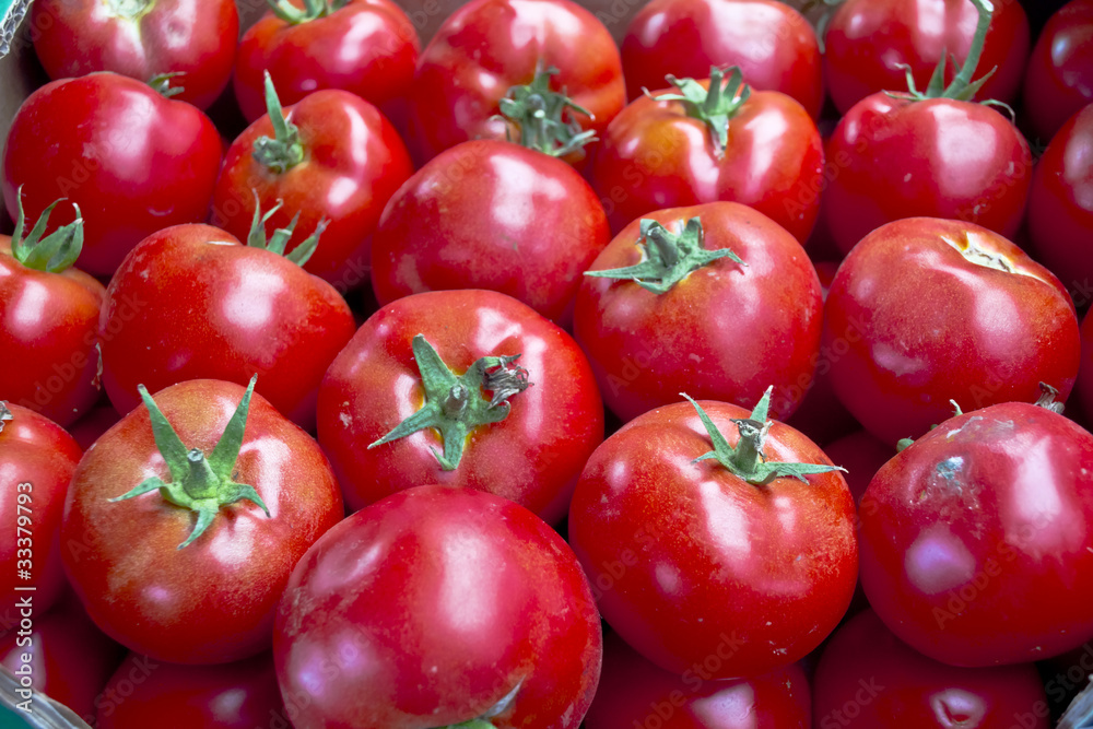 A background of fresh tomatoes for sale at a green market A background of fresh tomatoes for sale at a green market