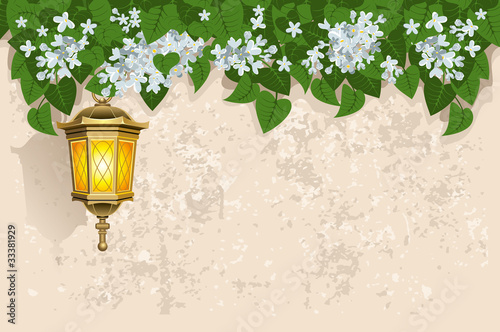 White lilacs and street lantern