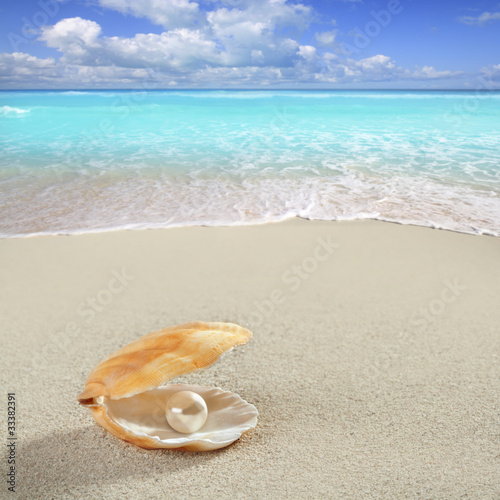 Caribbean pearl on shell white sand beach tropical © lunamarina