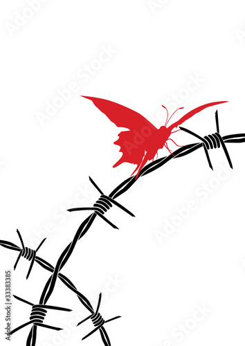 barbed wire and butterfly