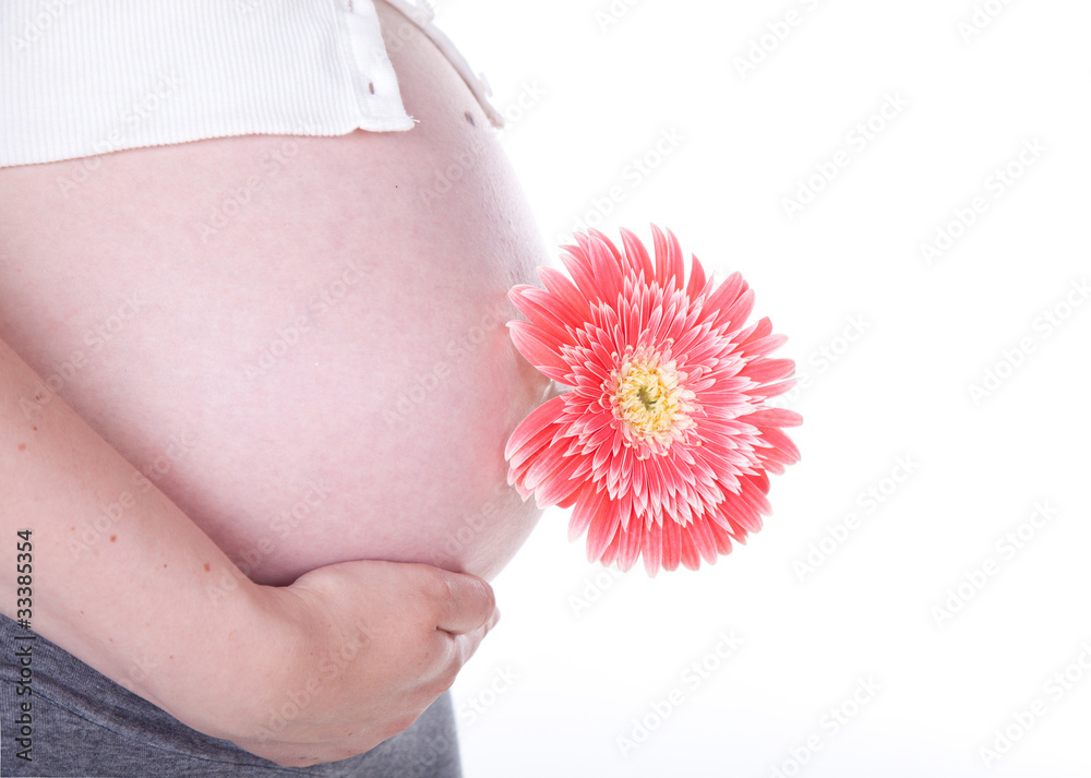 pregnant woman holding her belly and flower - obrazy, fototapety, plakaty 