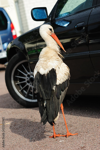 der parkplatzwächter 134