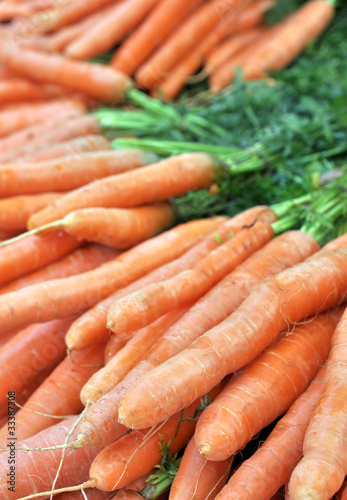 Frash Carrots