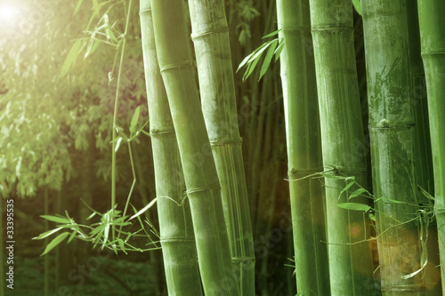 light bamboo