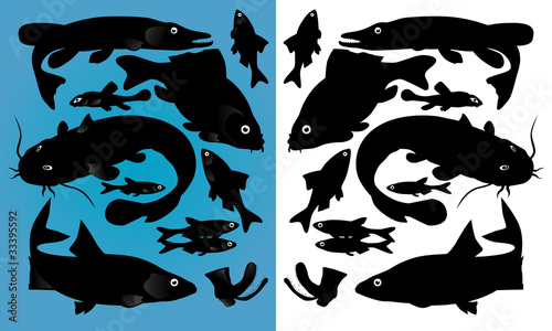 fish silhouettes