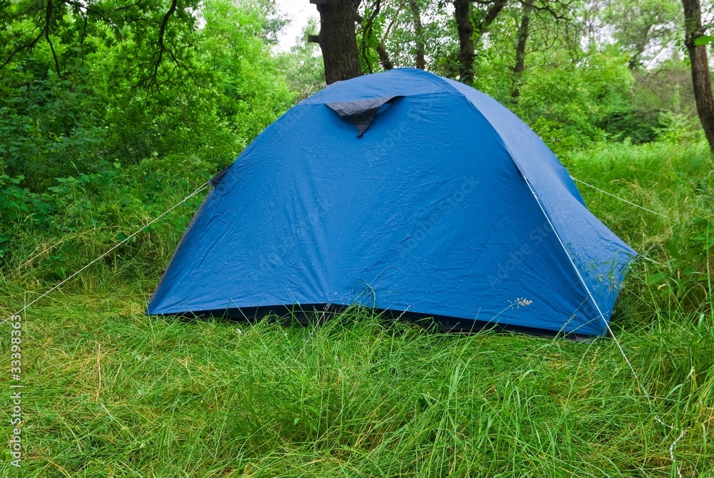 blue touristic tent in a forest