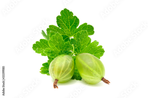 Green Gooseberries Isolated on White Background photo