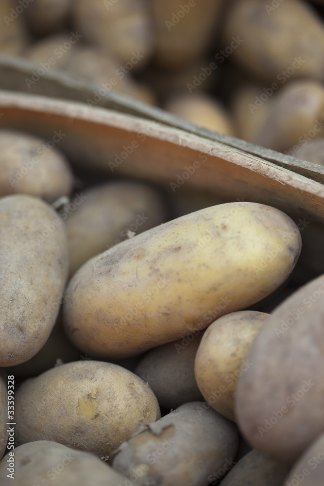 Pommes de terre, patates, féculent, manger, marché, cuisine Pommes de terre, patates, féculent, manger, marché, cuisine