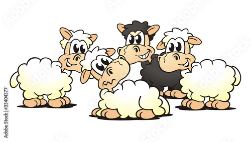 Photos Sheep Meeting