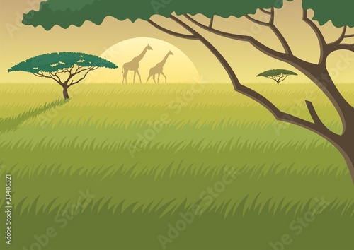 Africa Landscape