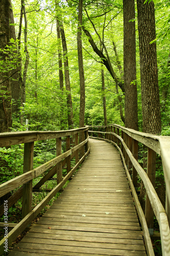 Wooden bridge through the forest © Jim Mills
