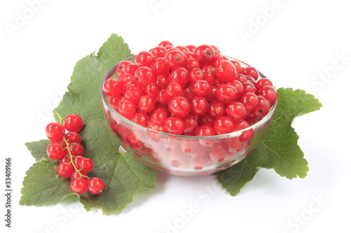 Rote Johannisbeeren