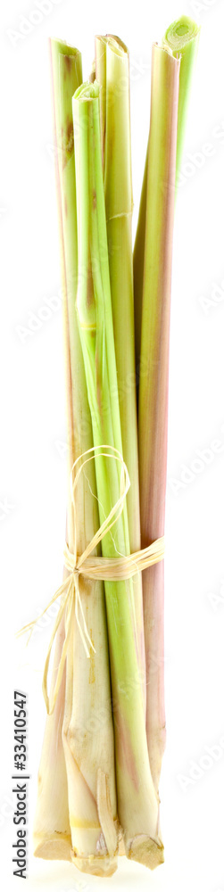 Fototapeta premium citronnelle