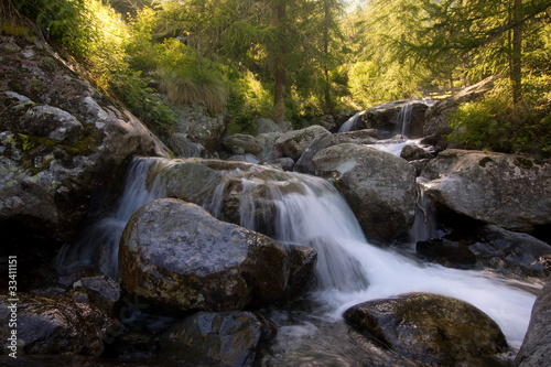 Fototapeta Naklejka Na Ścianę i Meble -  torrente al parco del Mont Avic