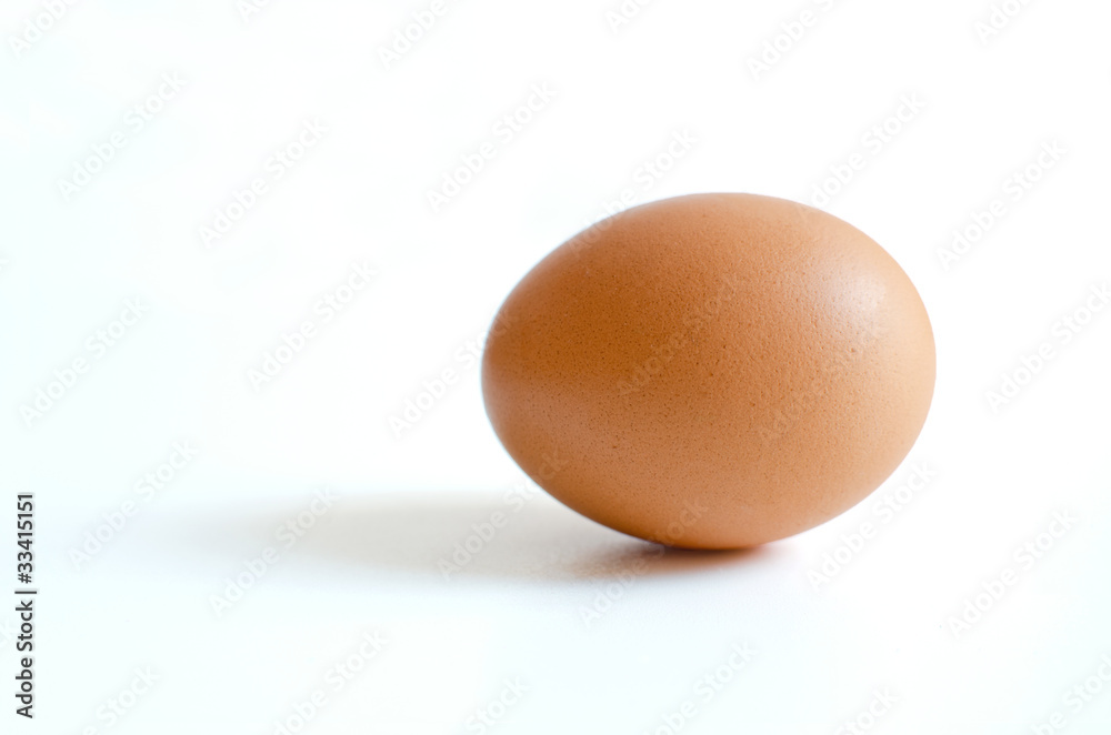 egg on white background