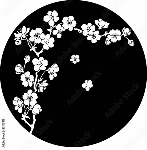 Blooming cherry in ink