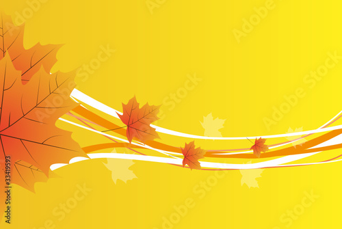 Herbstblätter