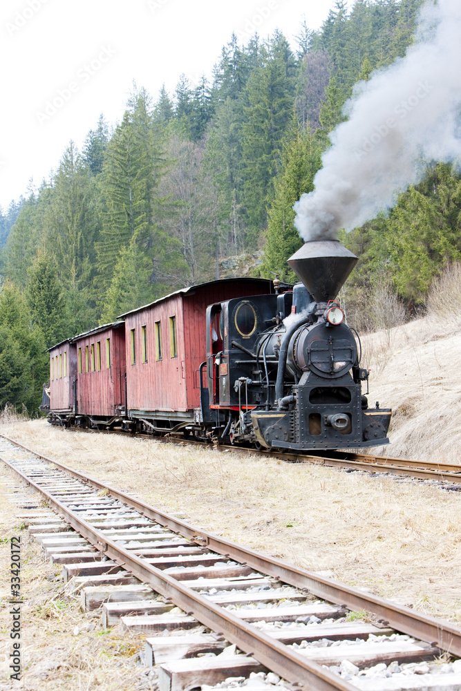Obraz premium pociąg parowy, kolej Ciernohronska, Słowacja