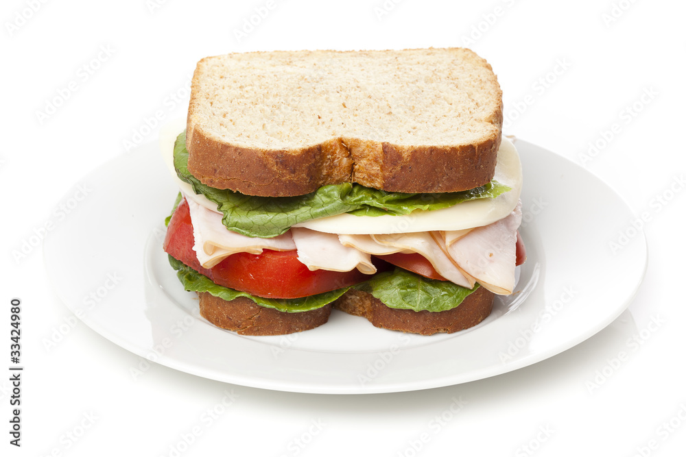 A large turkey sandwhich