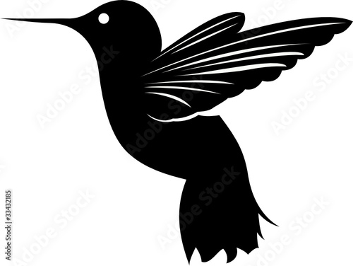 Kolibri