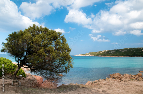 Sardinia  Italy  Costa Smeralda  Pevero beach