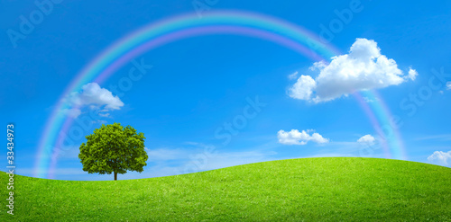 panorama of green field with a big tree and rainbow in blue sky