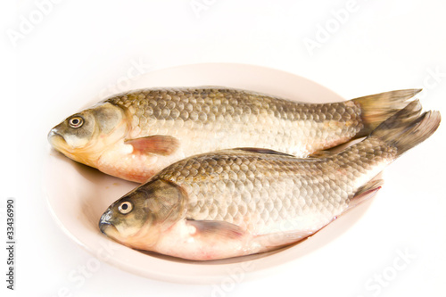 Fresh fish on a plate