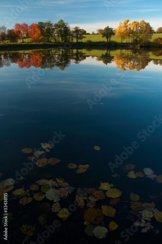 Autumn pond © Tom Pavlasek