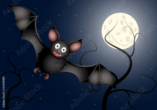 Fledermaus