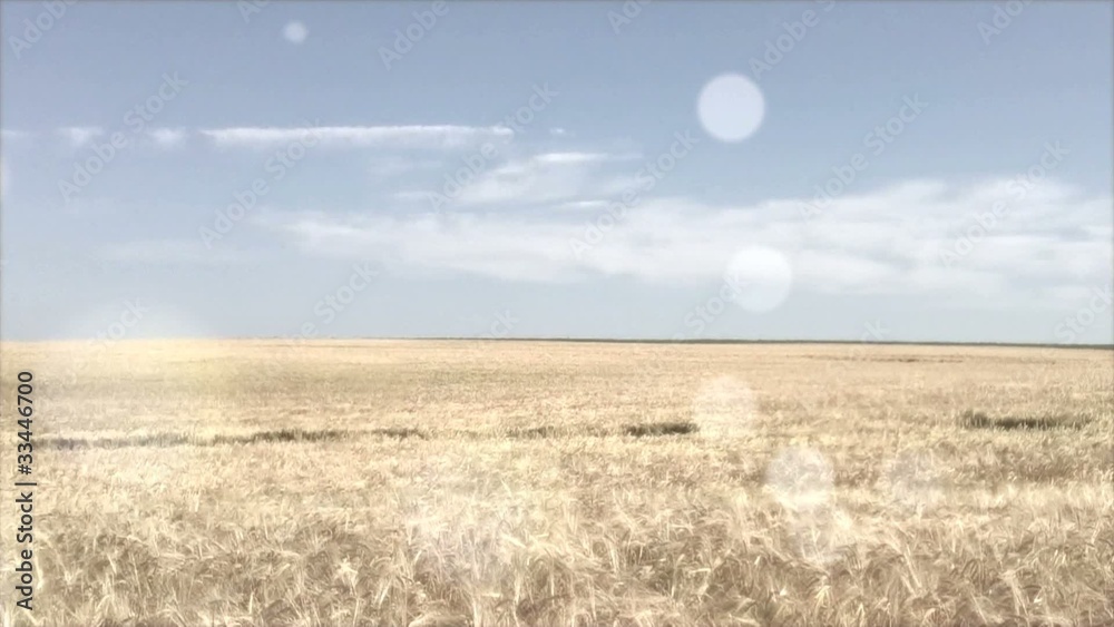 Panorama de campagne