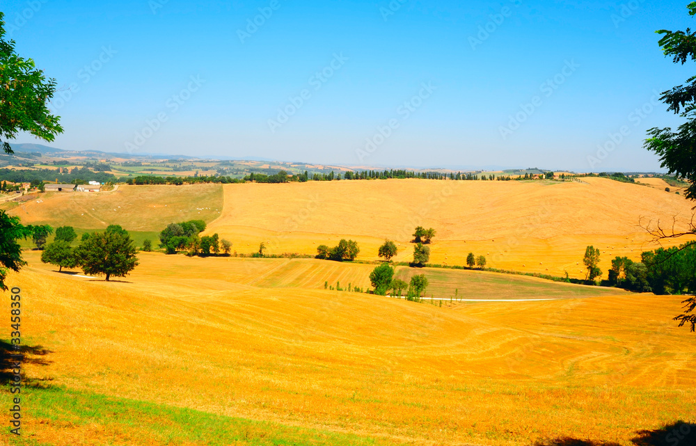 Sloping Meadows