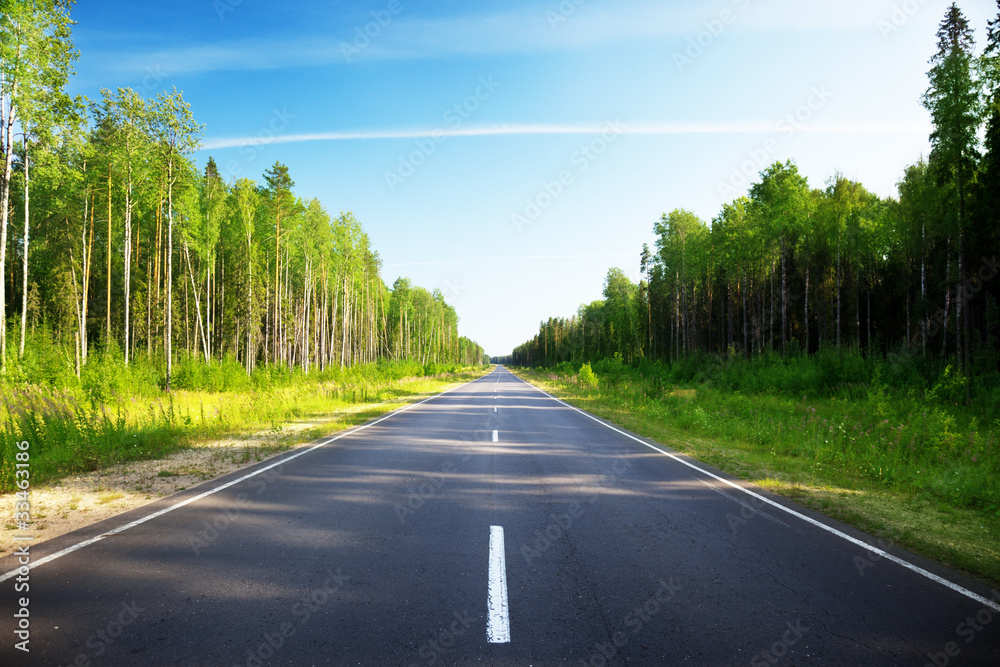 road in Russian forest