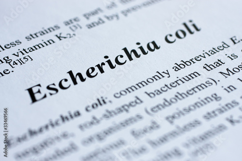 Escherichia coli