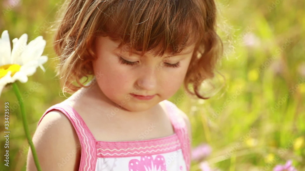 Little girl smelling a daisy flower in the meadow Little girl smelling a daisy flower in the meadow