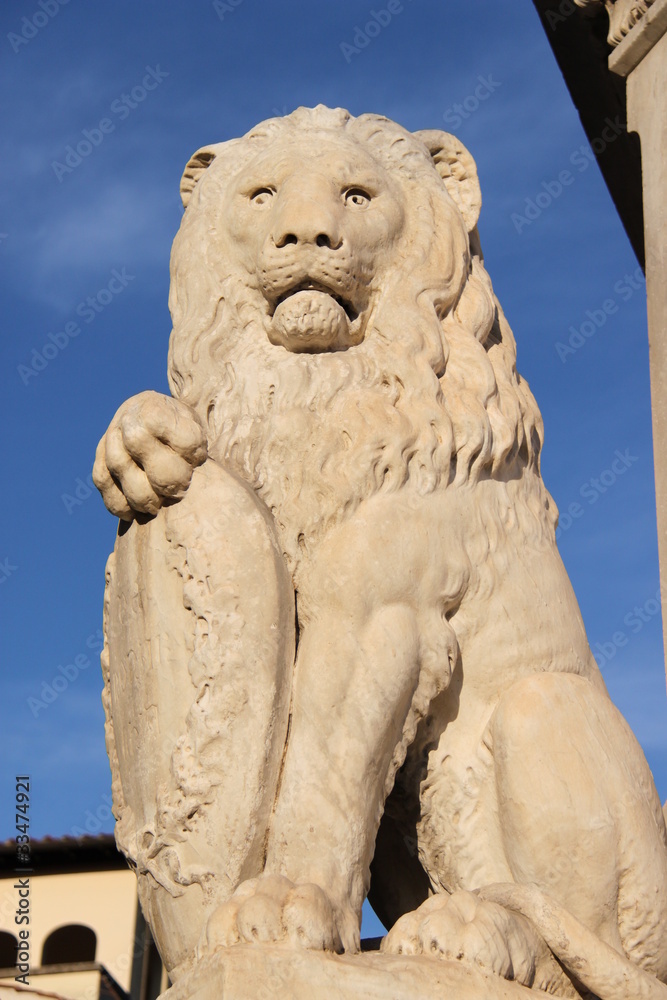 Lion de la Basilique Santa Croce à Florence, Italie