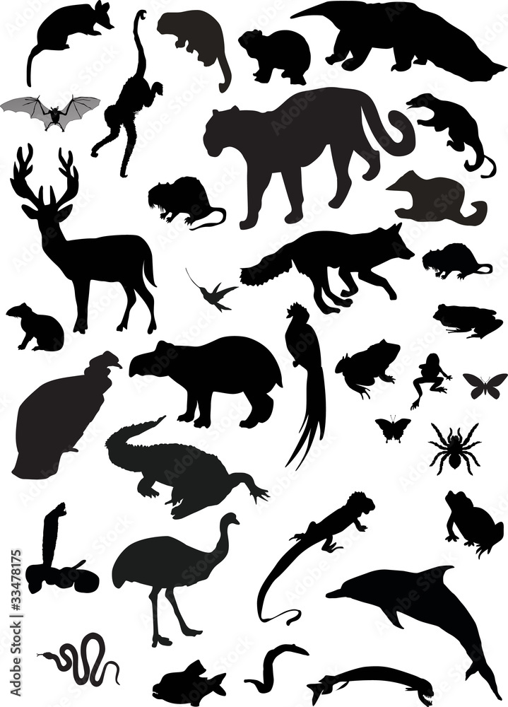 collection of different animals silhouettes