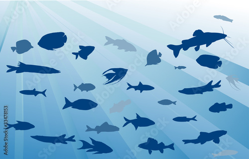 fishes in blue sea illustration