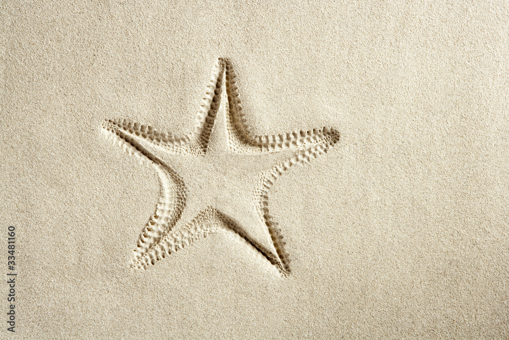 beach starfish print white caribbean sand summer beach starfish print white caribbean sand summer